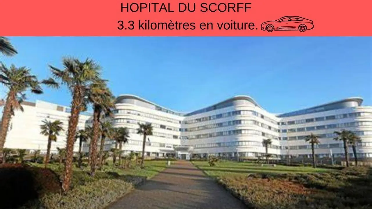 Apartment Centre Ville - Lumineux - Fibre Internet Haut Debit - Route Des Plages Lorient